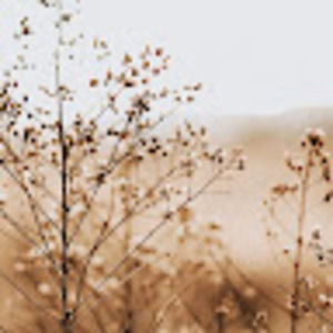 Meet your Posher, June